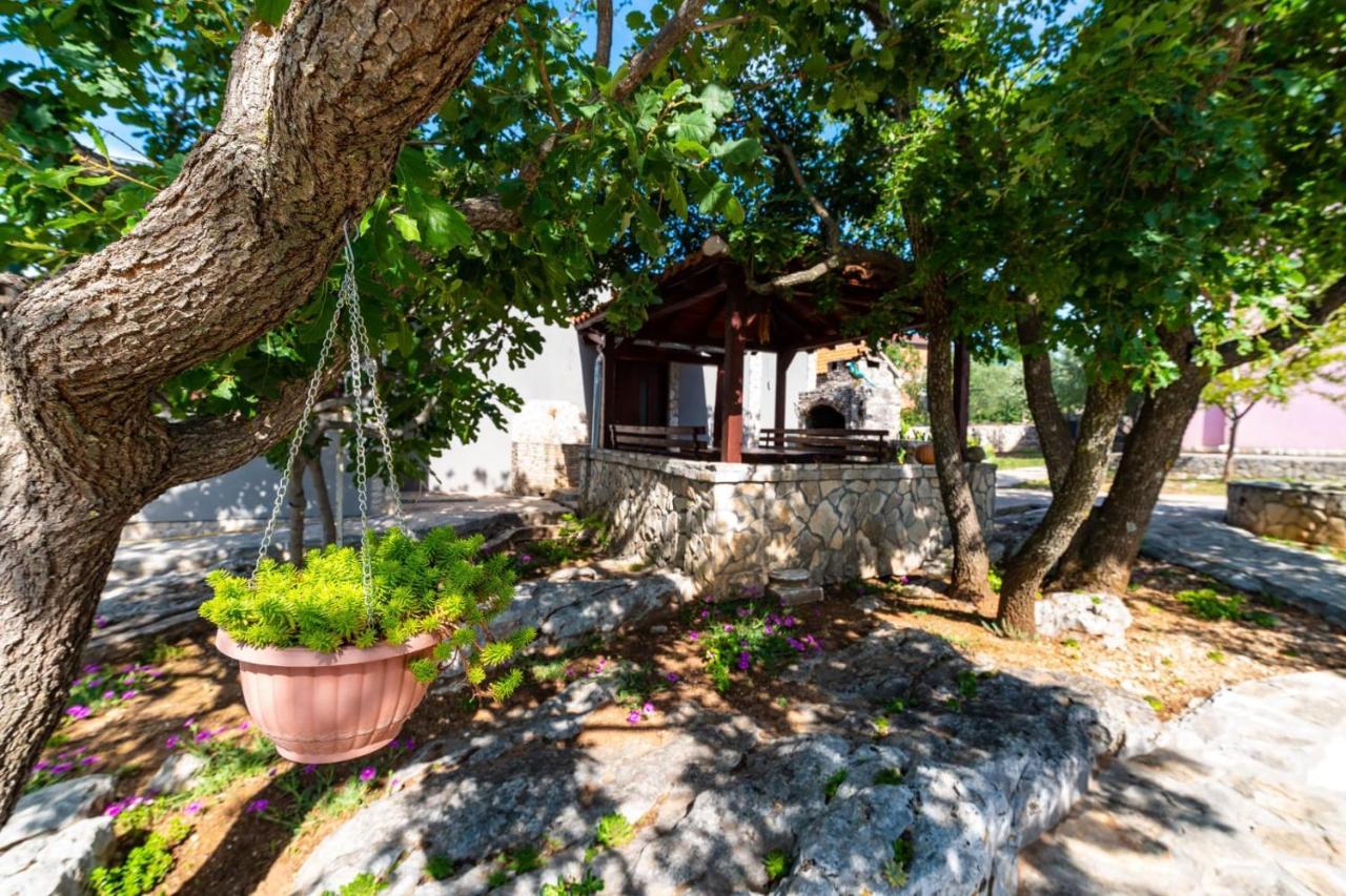 Villa Eagle Бенковац Екстериор снимка