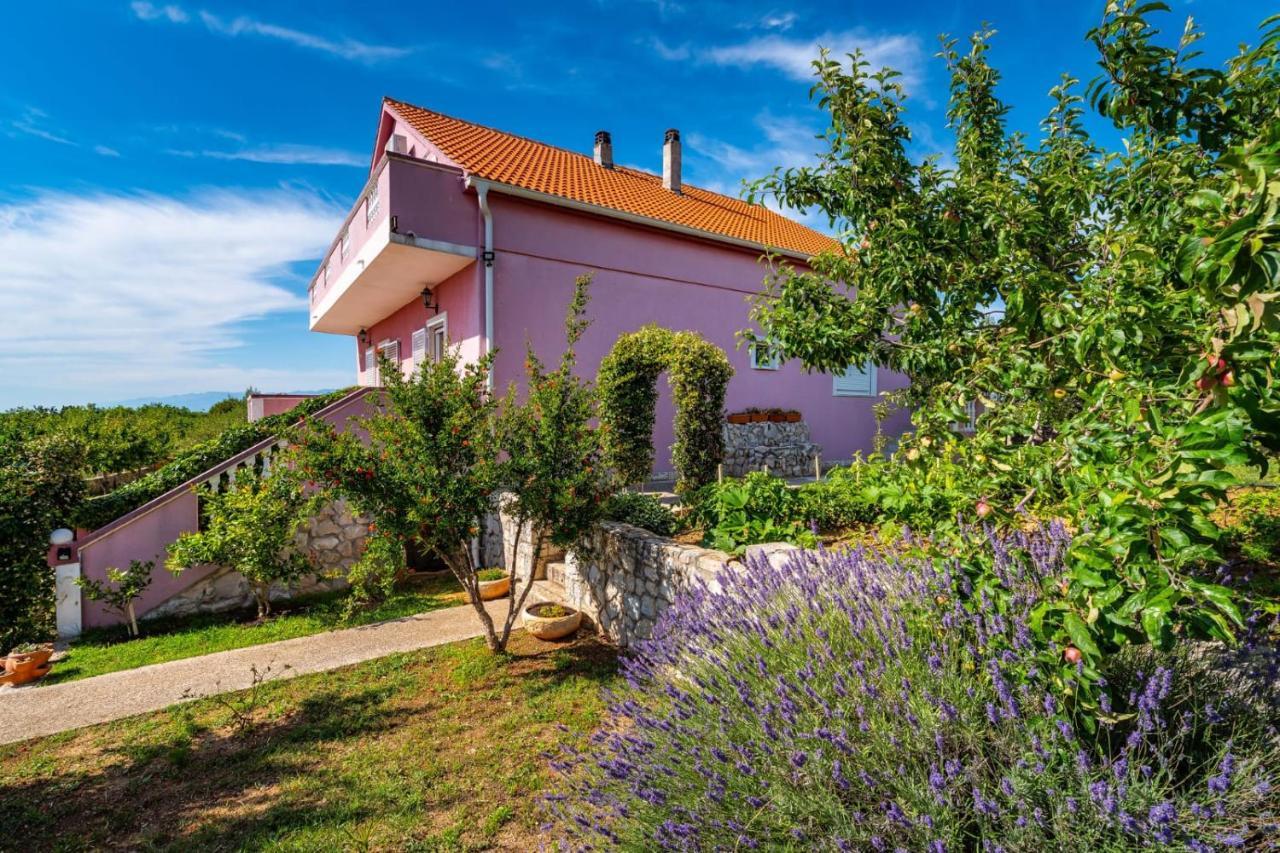 Villa Eagle Бенковац Екстериор снимка